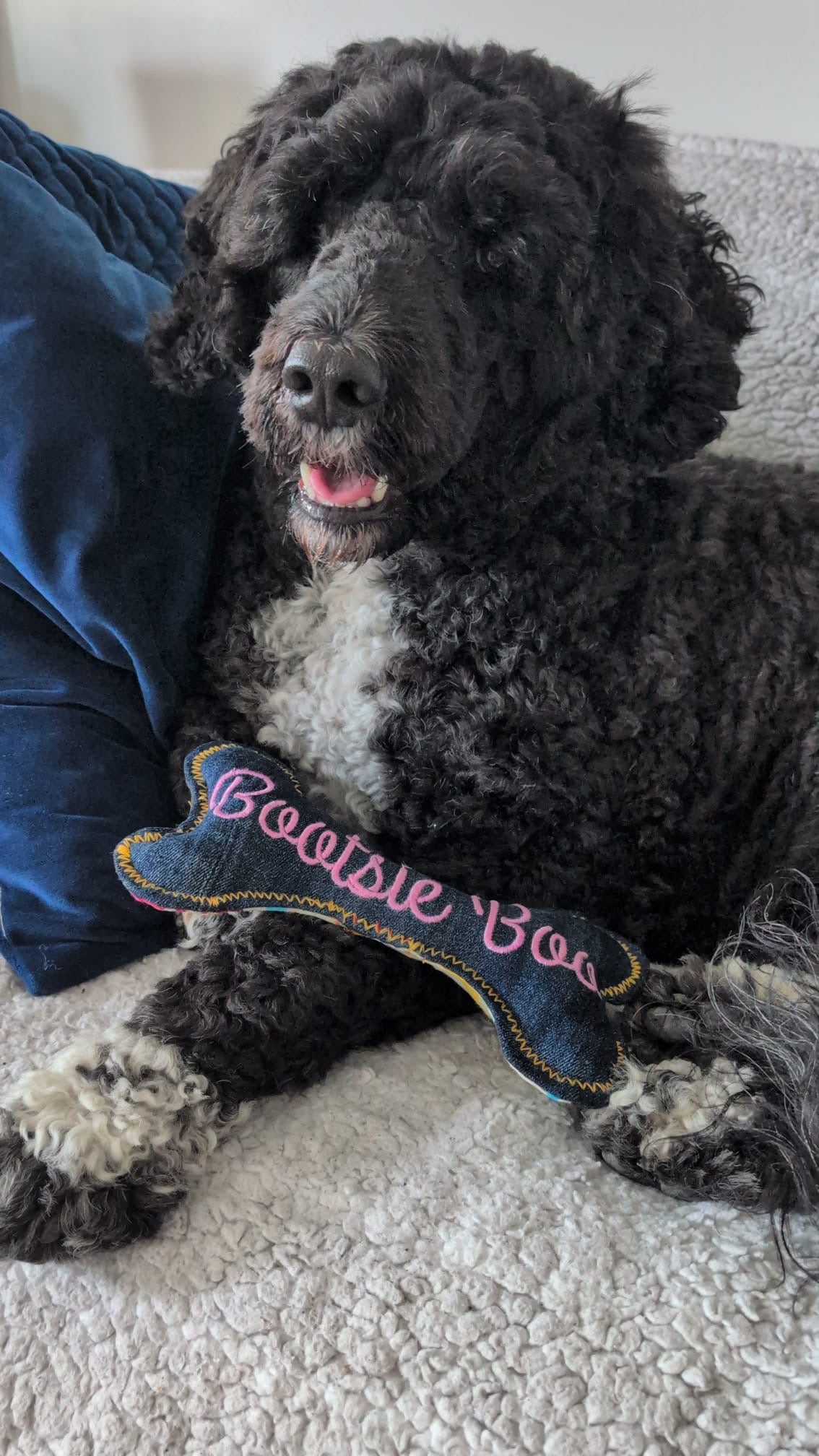 Black and white dog resting with a personalised soft dog bone toy with pink embroidery.