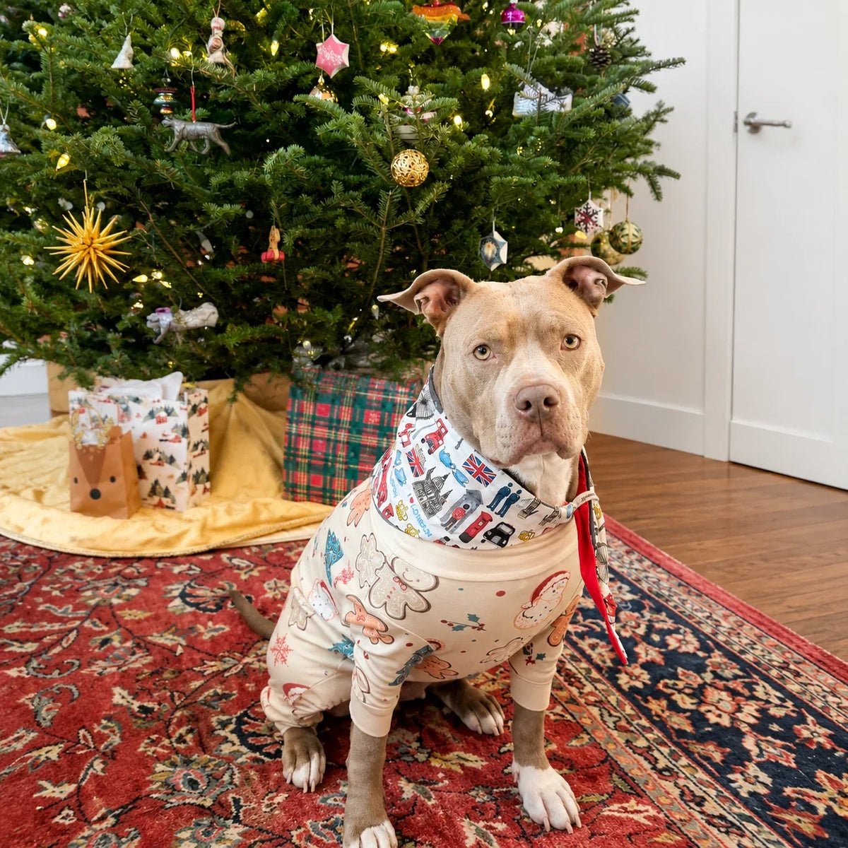 Dog wearing Hughies London Heritage tie-on dog bandana by a Christmas tree