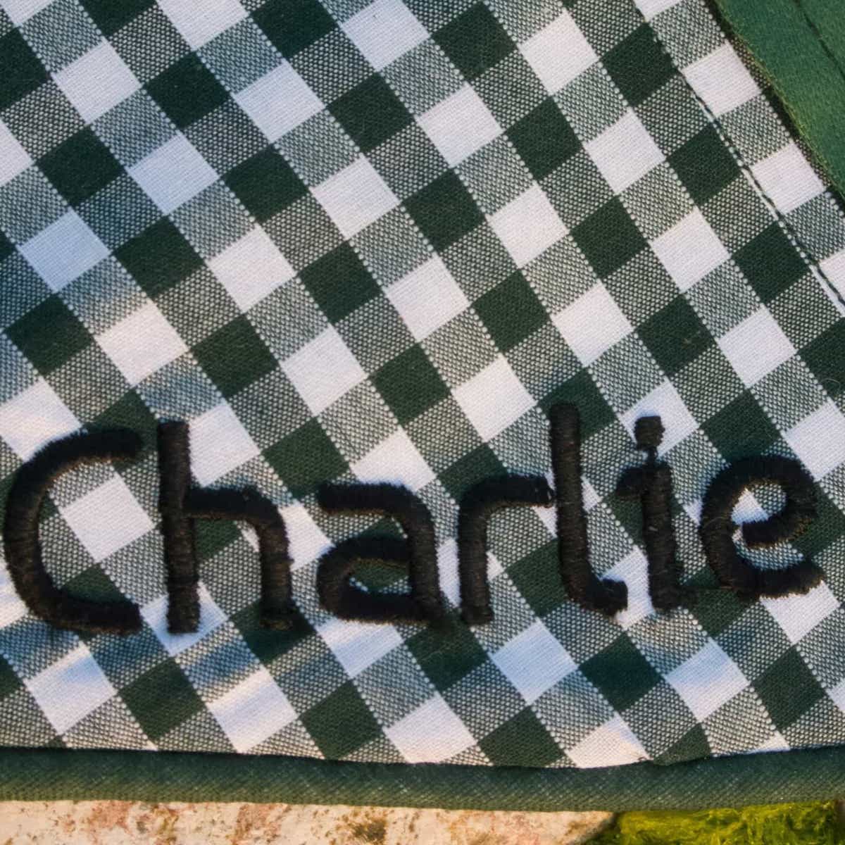 British Racing Green Gingham Over-collar Dog Bandana (reversible) - Hughies Dog Accessories