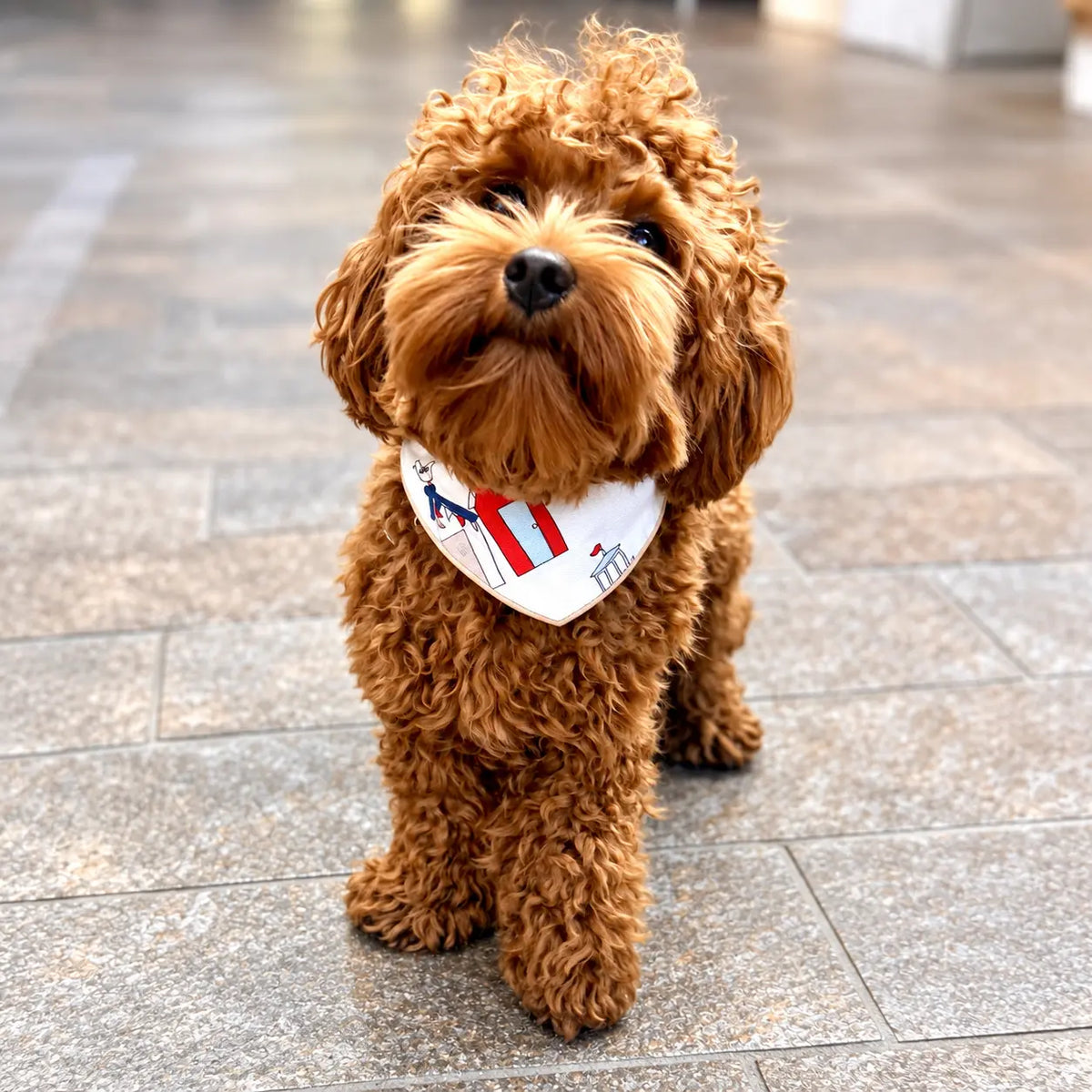 Dog wearing a Hughie's Heritage Range bandana
