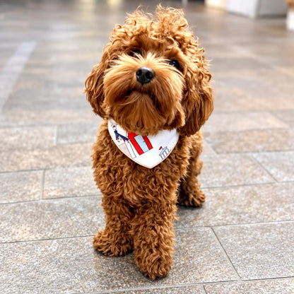 Dog wearing a Coastal Heritage snap-on dog bandana from Hughie's Heritage Range