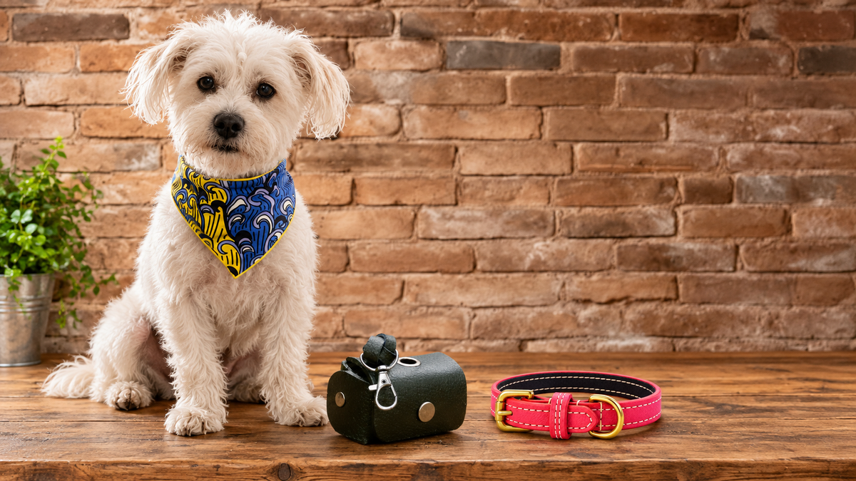 Hugo wearing a handmade dog bandana with reclaimed leather dog accessories on a wooden table