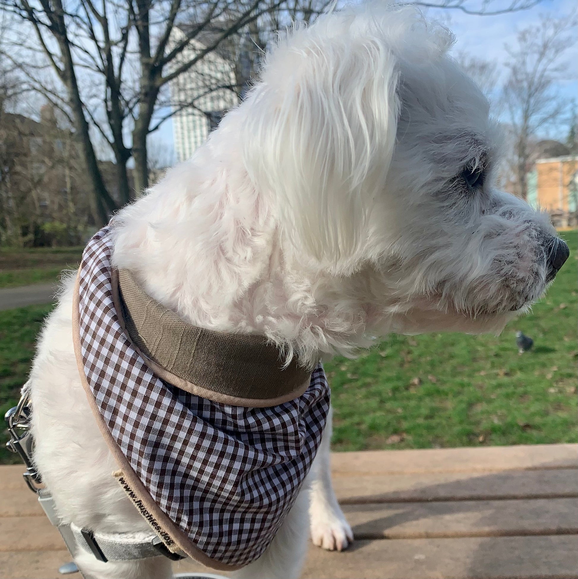 Mushroom Gingham reversible tie-on dog bandana – additional product view