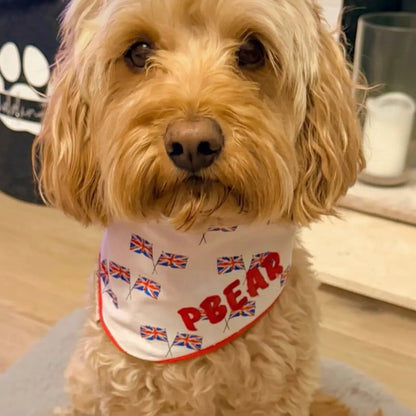 British Heritage Union Jack snap-on dog bandana shown on a dog