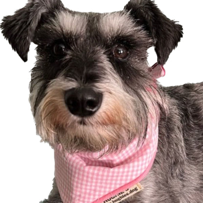 Pink Gingham Tie-on Dog Bandana (reversible) - Hughies Dog Accessories